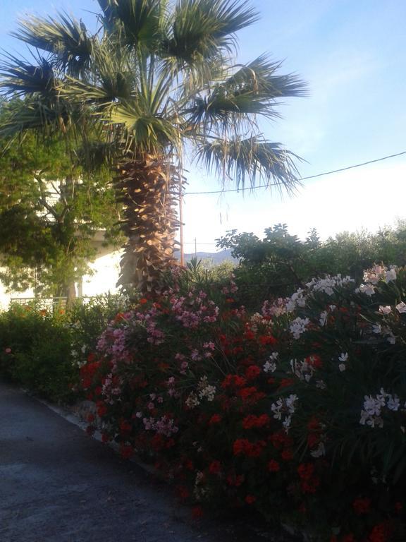Elea Guesthouse Galaxidi ภายนอก รูปภาพ
