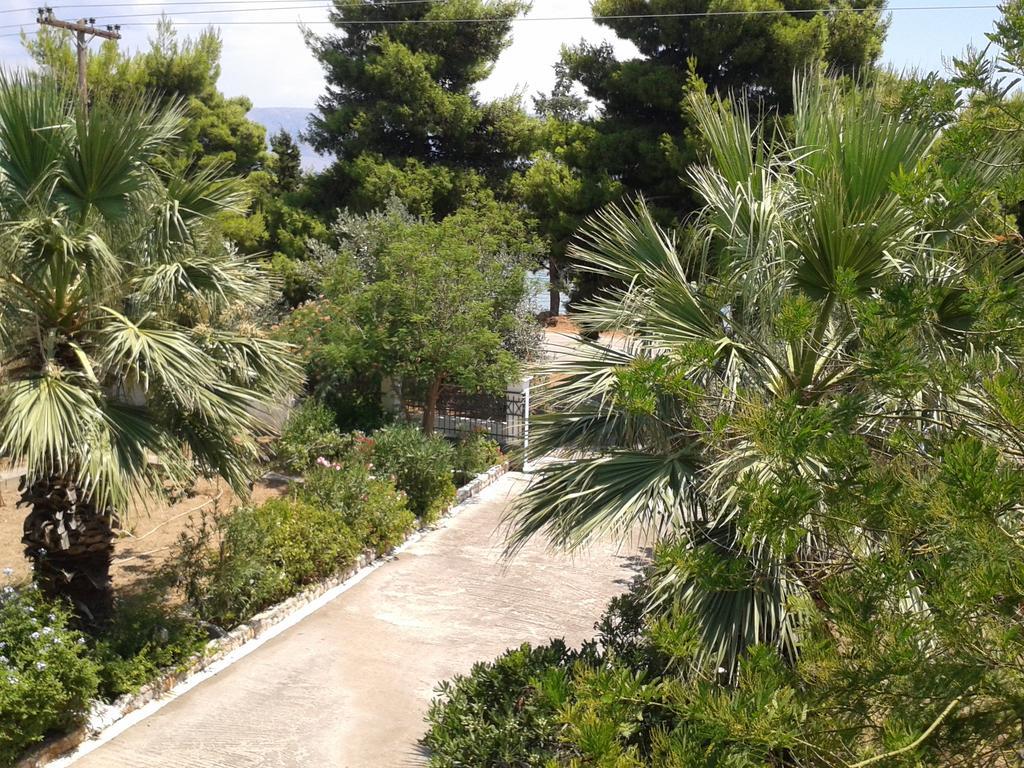 Elea Guesthouse Galaxidi ภายนอก รูปภาพ