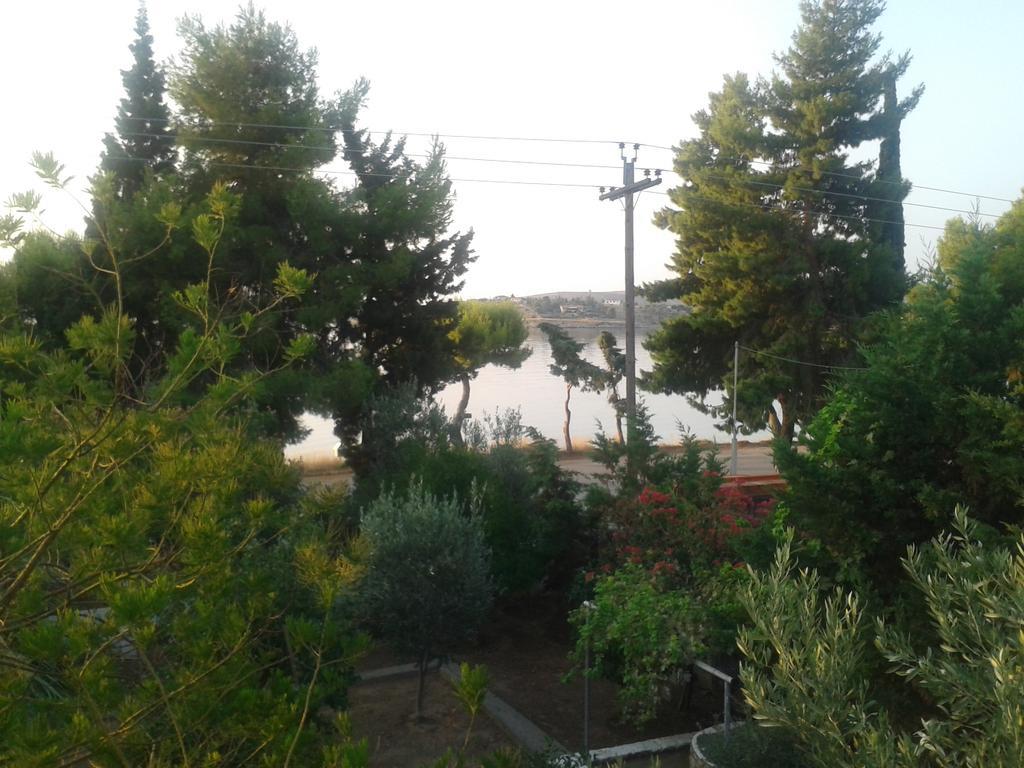 Elea Guesthouse Galaxidi ภายนอก รูปภาพ