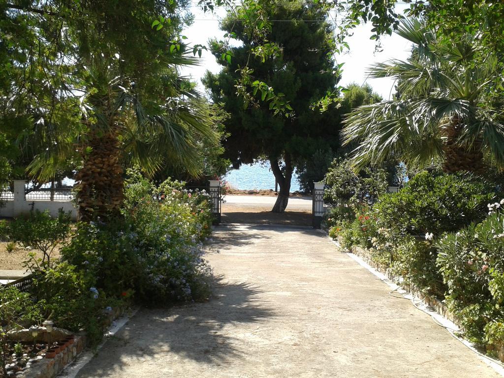 Elea Guesthouse Galaxidi ห้อง รูปภาพ