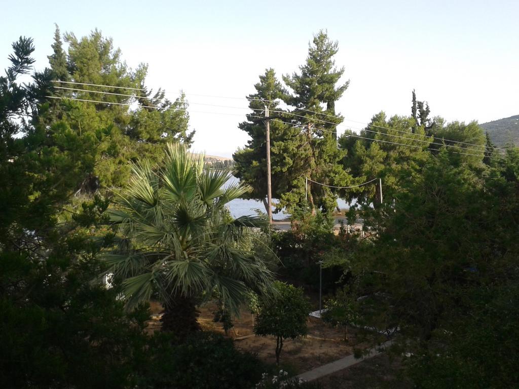 Elea Guesthouse Galaxidi ภายนอก รูปภาพ