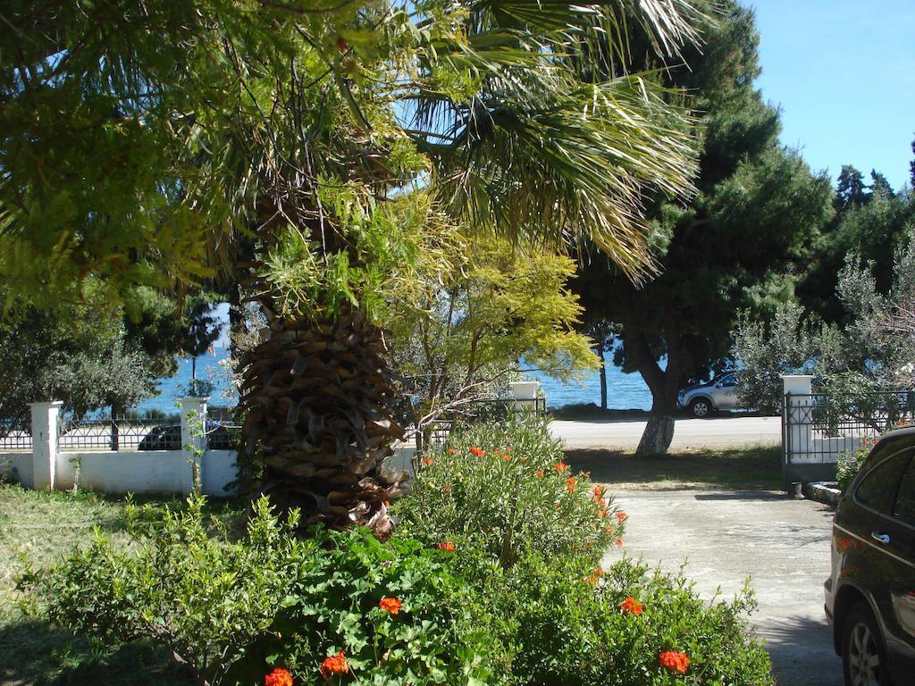 Elea Guesthouse Galaxidi ภายนอก รูปภาพ