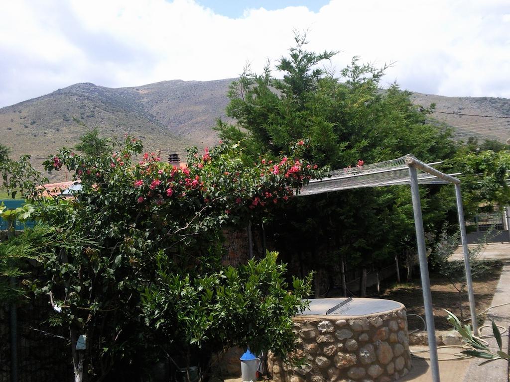 Elea Guesthouse Galaxidi ภายนอก รูปภาพ