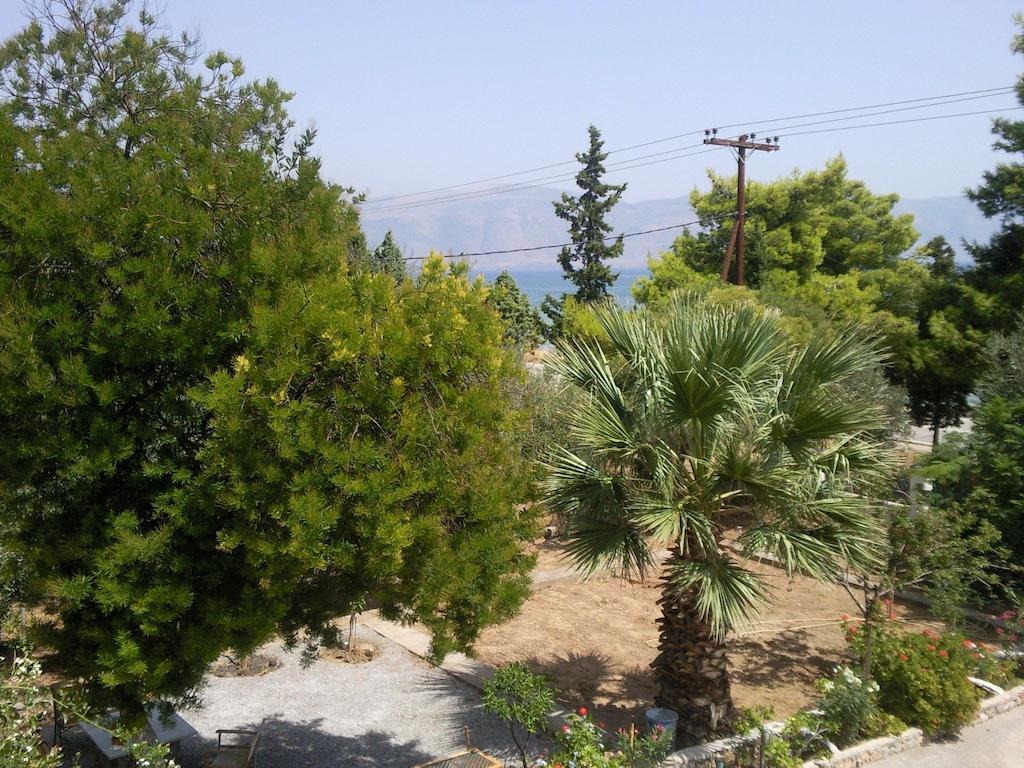 Elea Guesthouse Galaxidi ภายนอก รูปภาพ