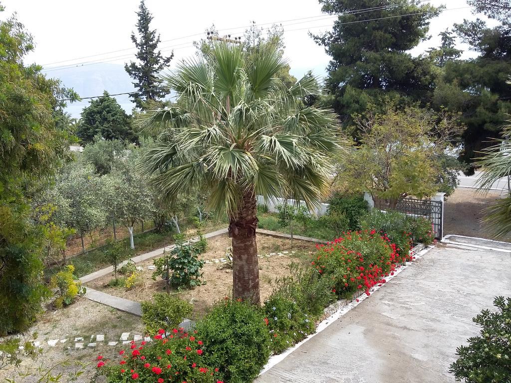 Elea Guesthouse Galaxidi ภายนอก รูปภาพ