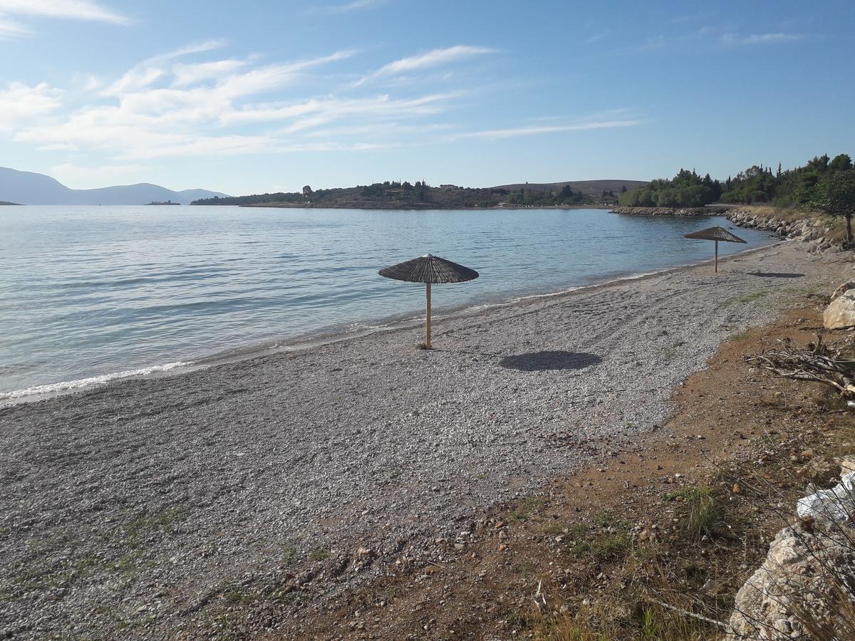 Elea Guesthouse Galaxidi ภายนอก รูปภาพ
