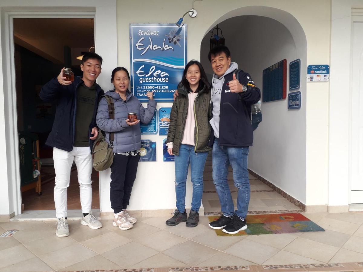 Elea Guesthouse Galaxidi ภายนอก รูปภาพ